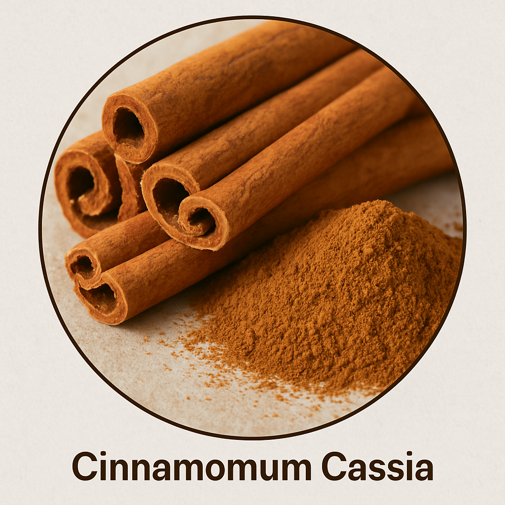 Cinnamomum Cassia