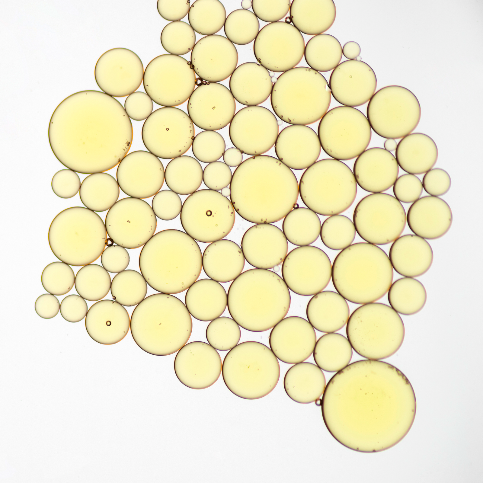 L-Arginine