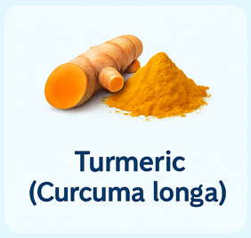 Turmeric (Curcuma longa)